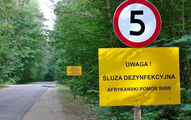 В Польше отложили строительство стены на границе с Украиной