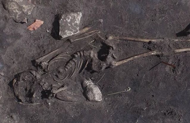 Археологи нашли в Швеции следы массового убийства