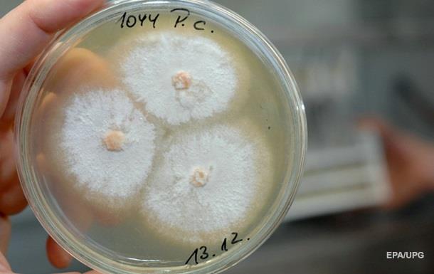 Ученые предупредили о серьезной опасности грибковых инфекций
