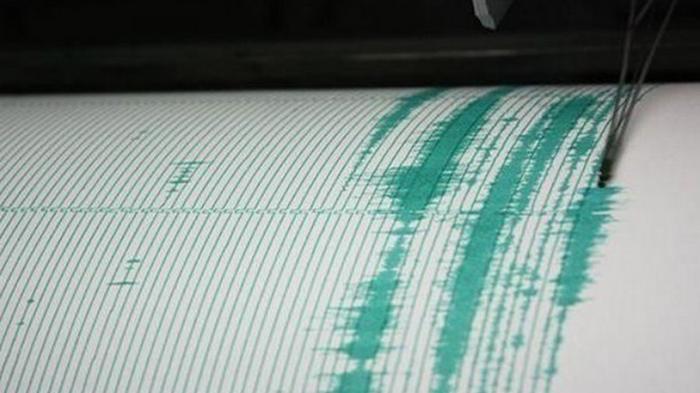 На острове Бали произошло сильное землетрясение