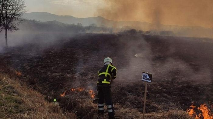 На Закарпатье произошел пожар в Долине нарциссов (фото)