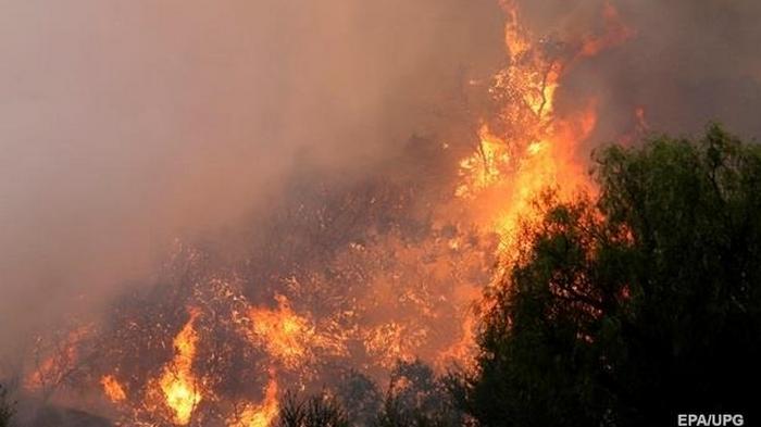В Китае 19 человек погибли при тушении лесного пожара