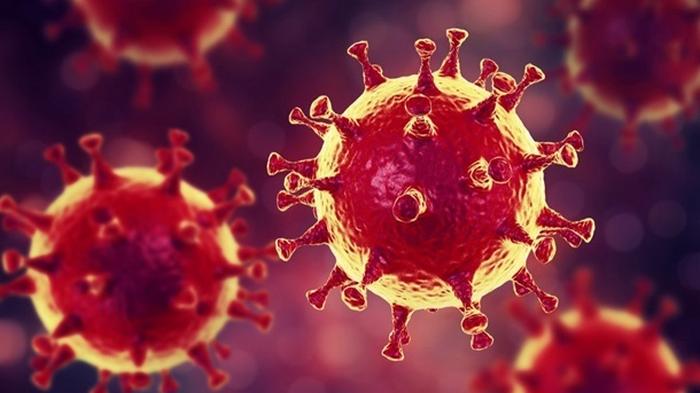 Британская разведка назвала новую версию появления коронавируса