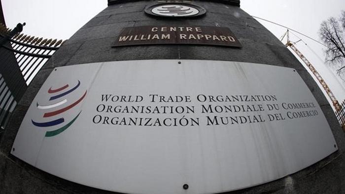 Мировая торговля может упасть на треть - ВТО
