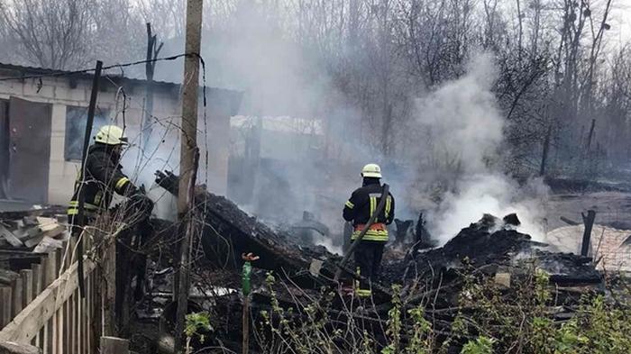 Под Киевом пожар уничтожил дачные дома (фото)