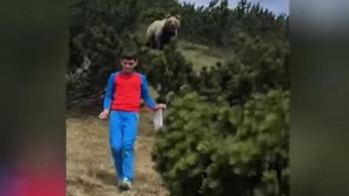 В Италии ребенок спокойно ушел от дикого медведя (видео)
