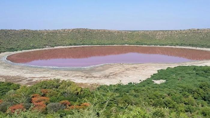Порозовевшее озеро в Индии показали на видео