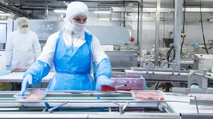 На мясокомбинате в Германии выявили сотни случаев COVID