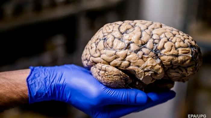 Ученые предупредили об угрозе СОVID для мозга