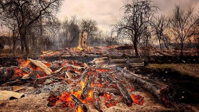 Лесные пожары: на Житомирщине оценили убытки в миллиард