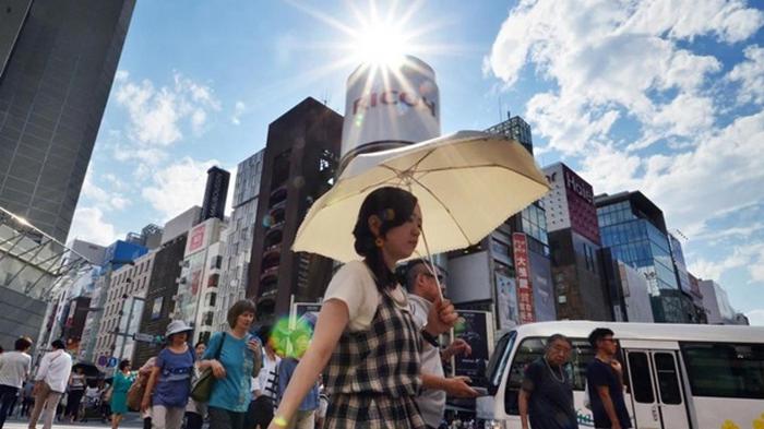 В Японии зафиксирована рекордная температура