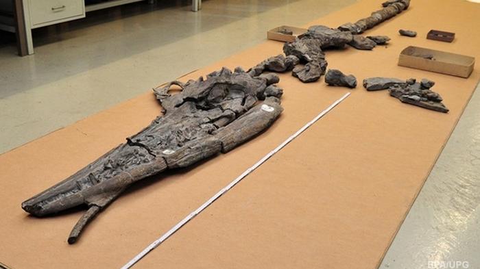Китайские ученые обнаружили останки одного динозавра внутри другого