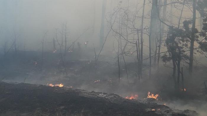 В Харьковской области пожар: привлечена авиация и пожарный поезд (фото)