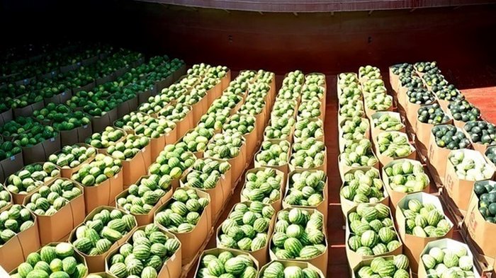 Украина установила рекорд по экспорту арбузов и дынь