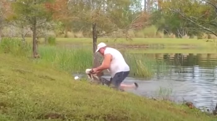 Пенсионер во Флориде спас трехмесячного щенка из пасти аллигатора: видео