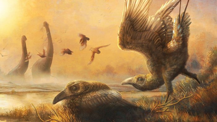 На Мадагаскаре нашли череп удивительной птицы времен динозавров
