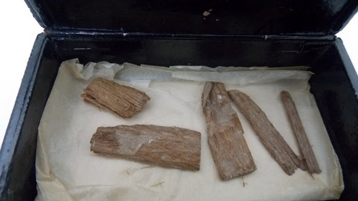 Артефакт из пирамиды Хеопса обнаружили в коробке из-под сигар (видео)