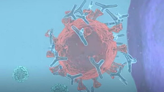 Ученые опубликовали видео о типах COVID-вакцин (видео)