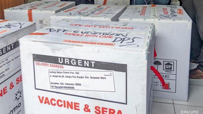 Вакцине Sinovac выдали разрешение на использование в Индонезии