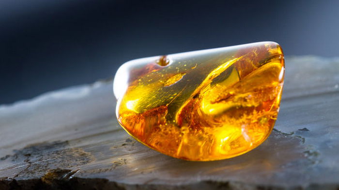 В Азии в янтаре нашли древнего светлячка: ему может быть около 100 млн лет – фото