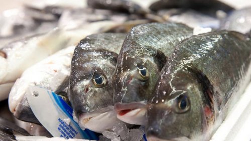 Украина экспортировала рыбы на рекордную сумму. Куда продавали в 2020 году
