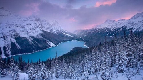 29 января: какой сегодня праздник, приметы дня и что нельзя делать