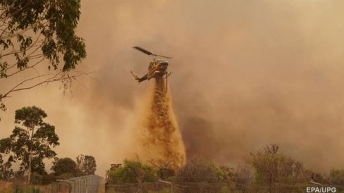 Масштабные лесные пожары начались в Австралии (фото)