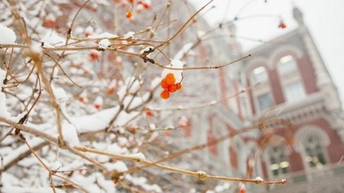 Курсы валют на 1 февраля: гривна вернулась к росту