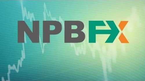 Брокерская компания NPBFX: особенности и преимущества
