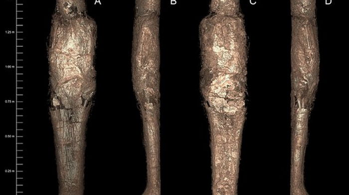 Ученым удалось разгадать загадку древней египетской мумии (фото)