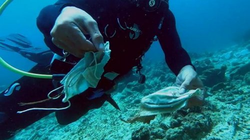 Обнаружен риф, загрязненный медицинскими масками (видео)