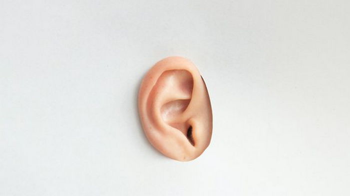 Ученые создали 3D-карту внутреннего уха человека