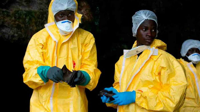 В ВОЗ назвали причину новой вспышки вируса Эбола в Африке