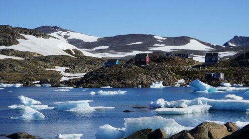 Уникальное открытие: в Гренландии найдены останки растений