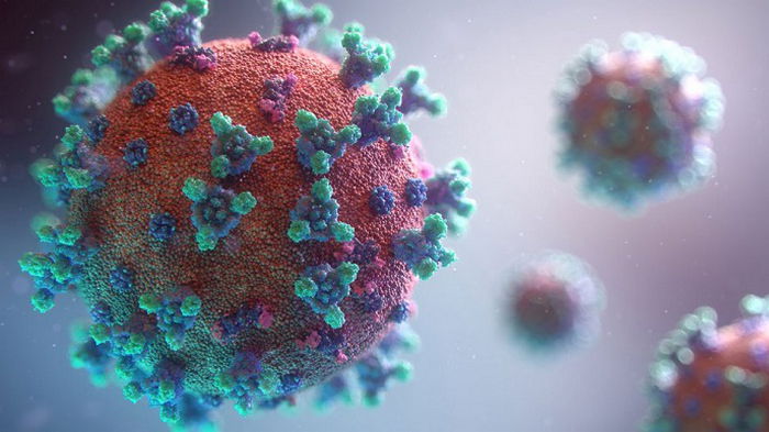 Ученые заявили, что ультразвук может разрушать коронавирусы – видео моделирования