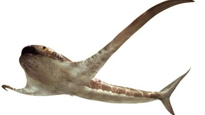 В Мексике найдена окаменелость акулы с крыльями (фото)