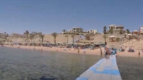 На пляже Египта отдыхающие заметили акулу (видео)