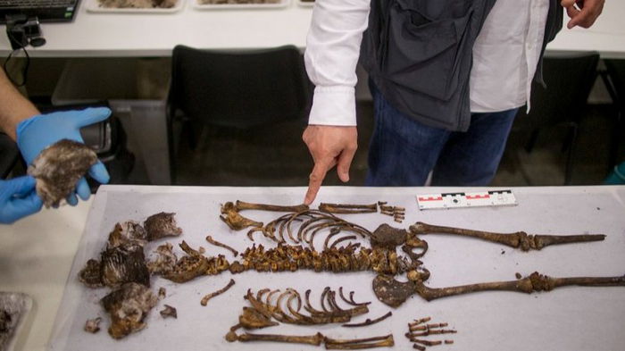 Темные века. В испанском дворце нашли средневековую могилу ребенка