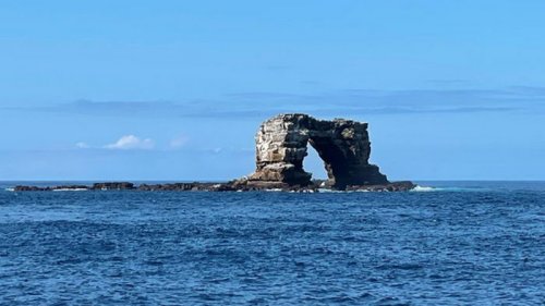 На Галапагосах рухнула знаменитая Арка Дарвина