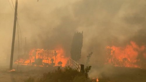 В Канаде практически полностью сгорело село из-за аномальной жары (видео)