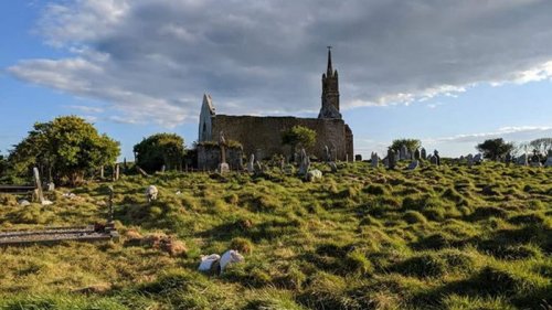 В Ирландии историки наняли на работу стадо овец (видео)