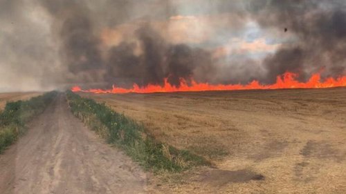В Николаевской области горело поле пшеницы