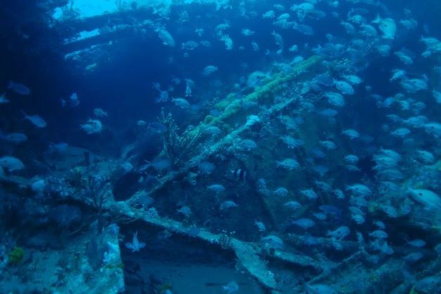 У берегов Австралии нашли место кораблекрушения XIX века (видео)