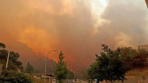 На Сицилии арестовали поджигателей леса