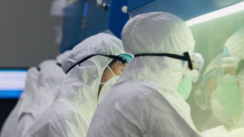 ВОЗ может назвать новые штаммы коронавируса в честь созвездий