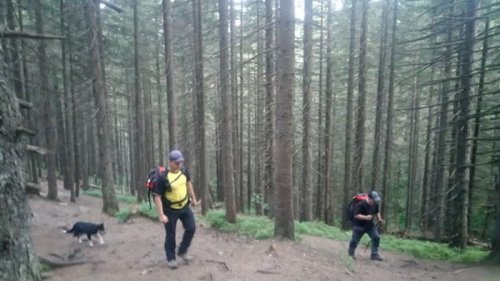 На Говерле спасатели ищут отставшего от группы шестилетнего ребенка