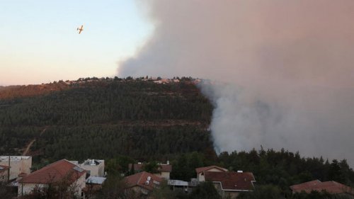 Возле Иерусалима горят леса. Эвакуировали поселки и пациентов психбольницы (видео)