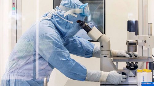 Новые опасные штаммы? Когда прекратятся мутации коронавируса