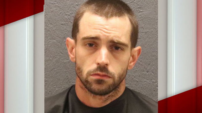 Американец украл коня и спрятал его в спальне