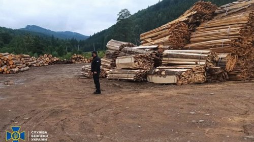 Из заповедной зоны на Буковине продавали лес на миллионы гривен
